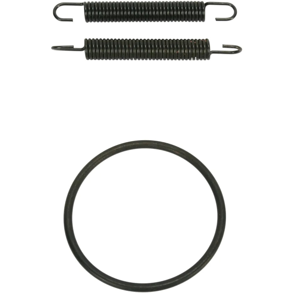 Spring and O-Ring Kit