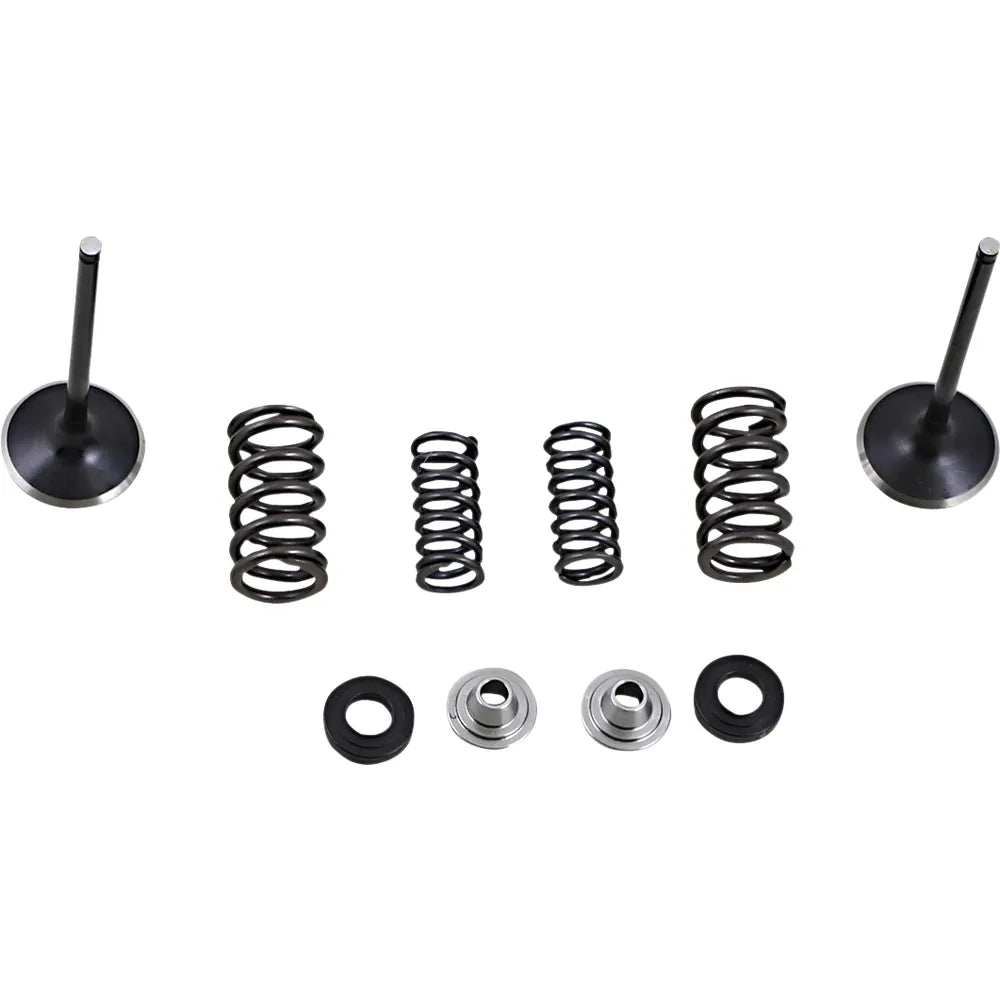 Intake Valve Kit