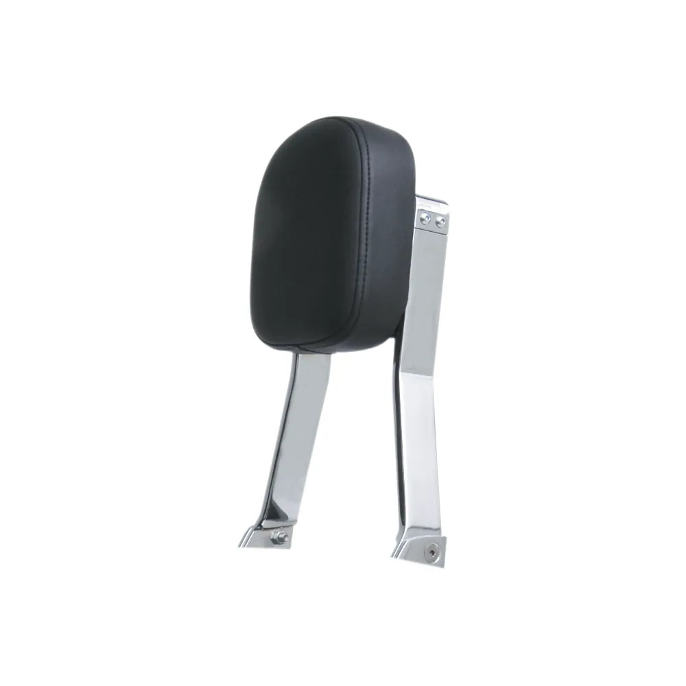 Sissy Bar - Standard - 750 Aero