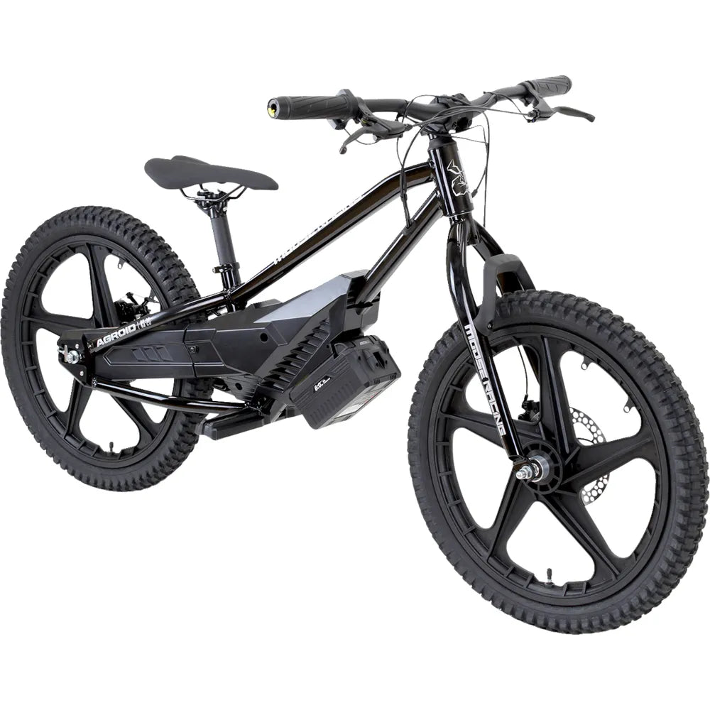Bicicleta eléctrica de equilibrio Agroid RS-20