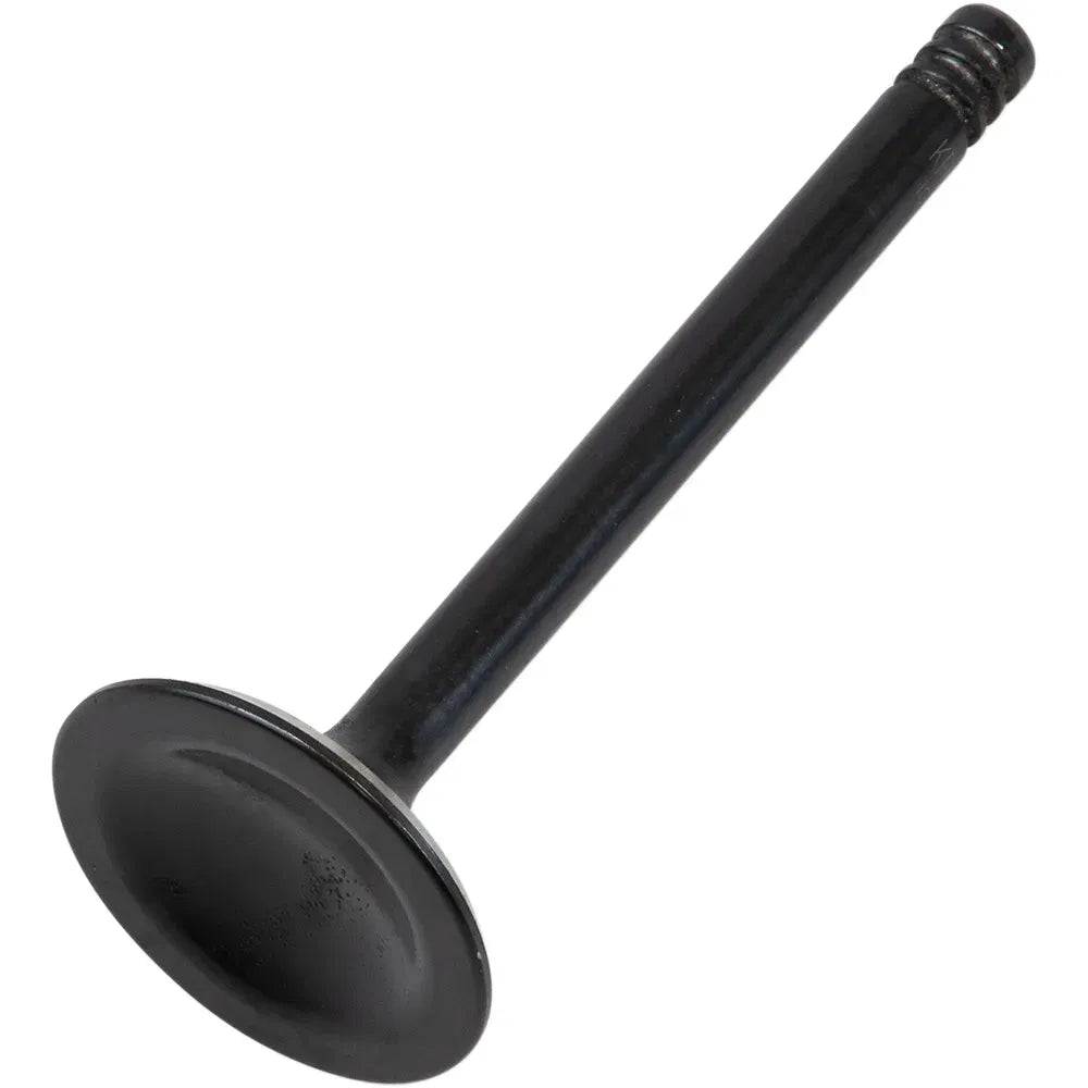 Exhaust Valve