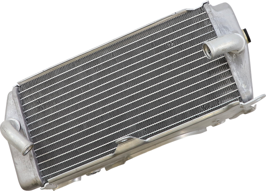 Radiador OEM de repuesto - Radiador OEM de repuesto - Izquierdo - Honda