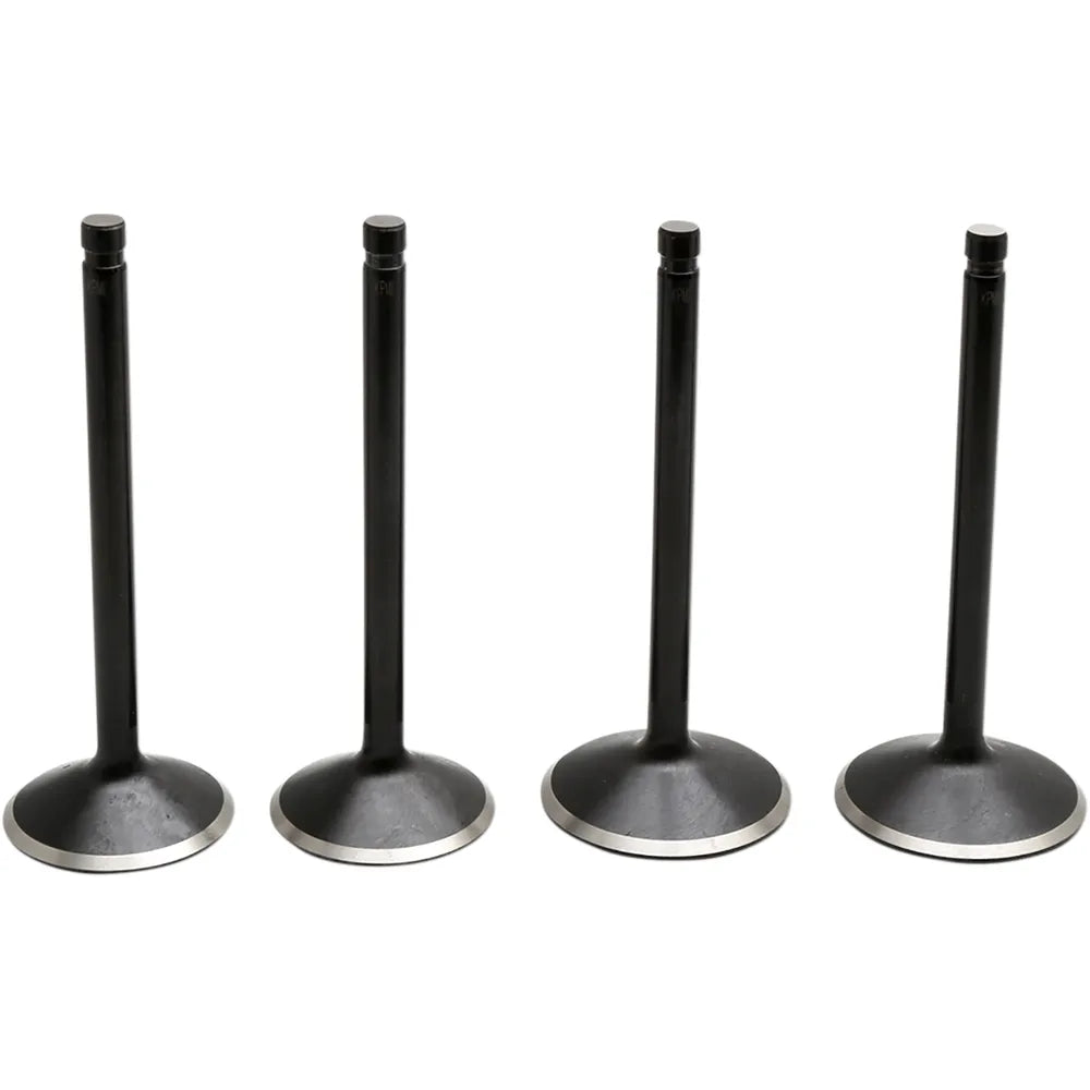 Valve Kit - Twin Cam
