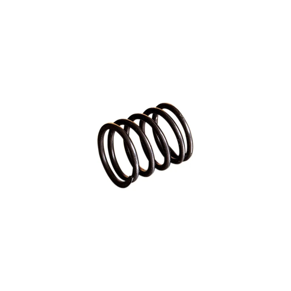 Rotary Valve Spring