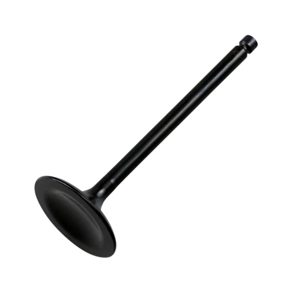 Intake Valve