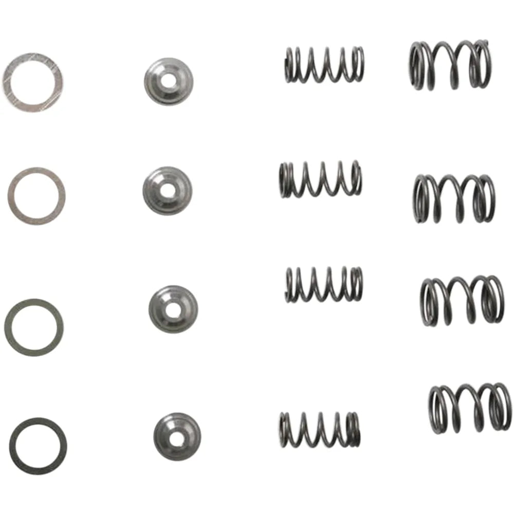 Valve Spring Kit