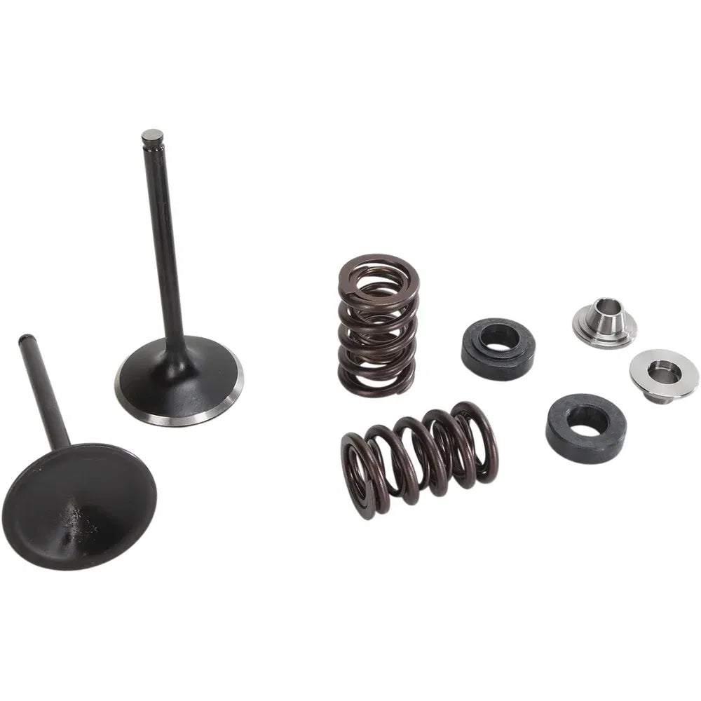 Kit de válvula de escape y resorte