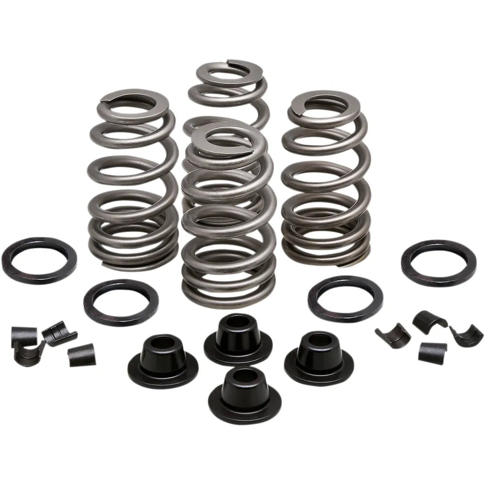 Spring Kit - .660" - Evolution/Twin Cam