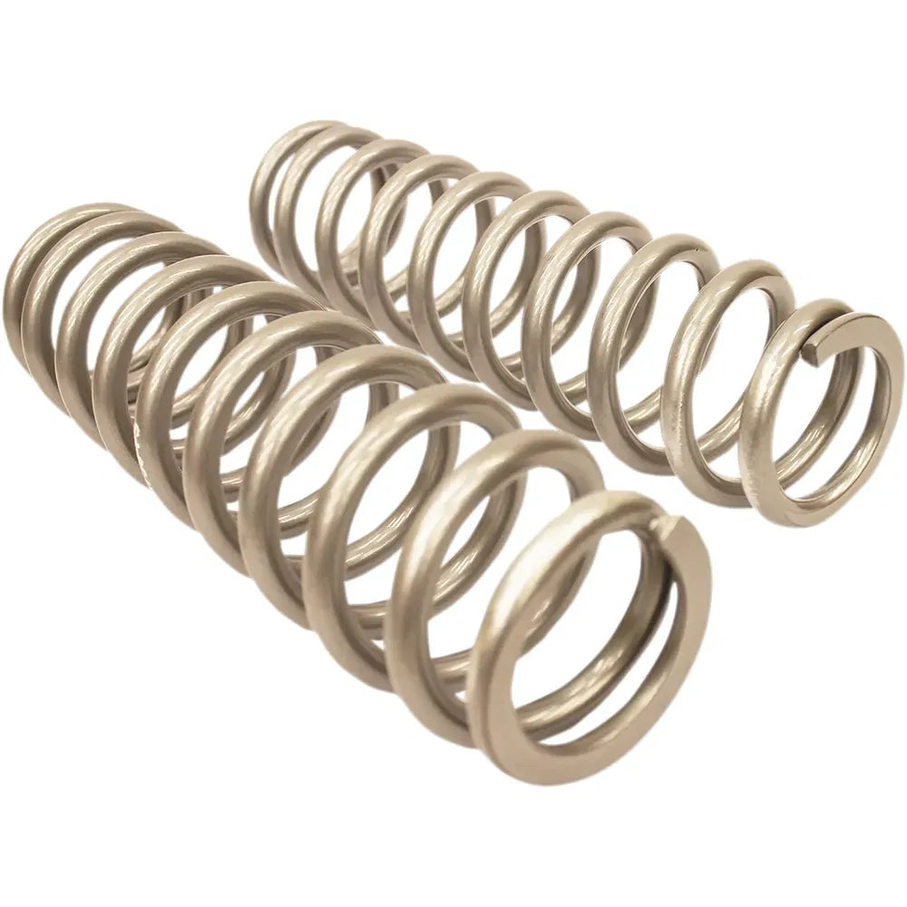 Rear Shock Springs - Silver