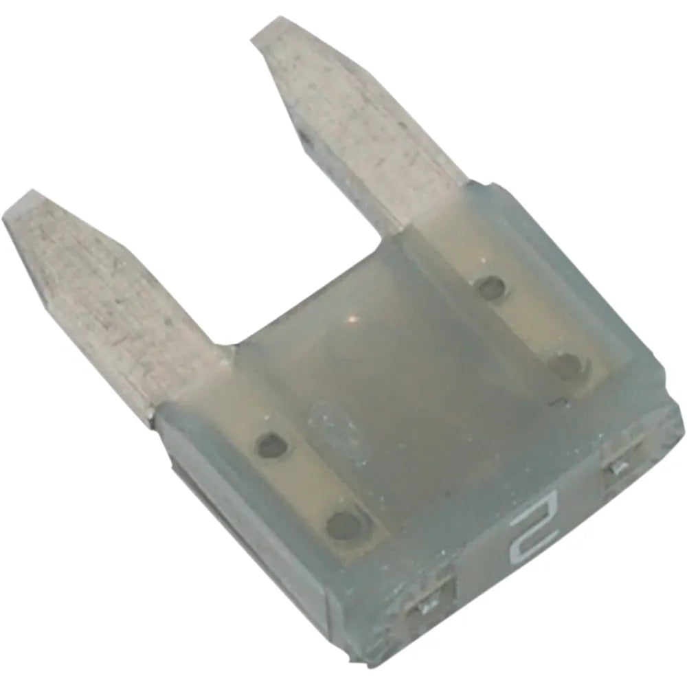 Fuses - Mini - 2 Amp - 5 Pack