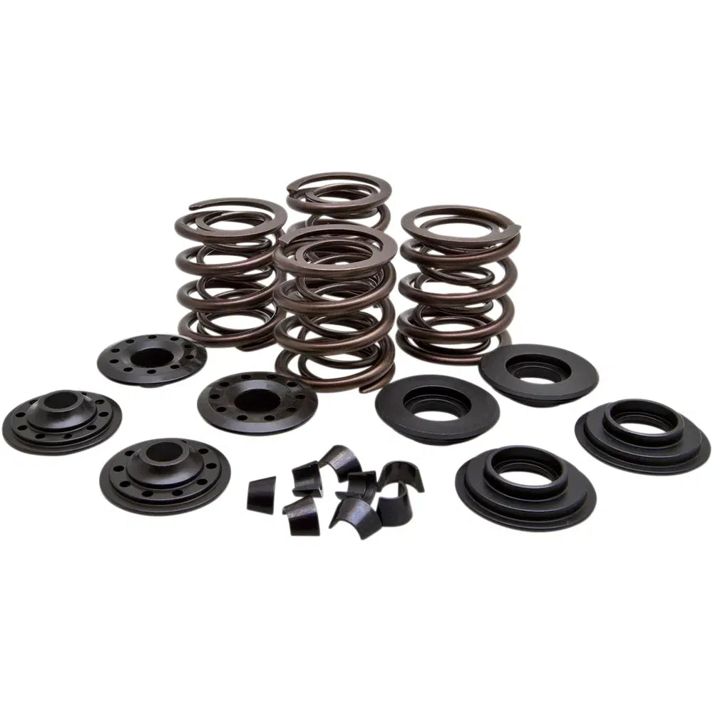 Valve Spring Kit061632