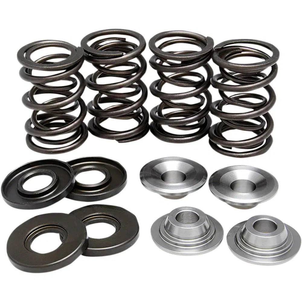 Valve Spring Kit