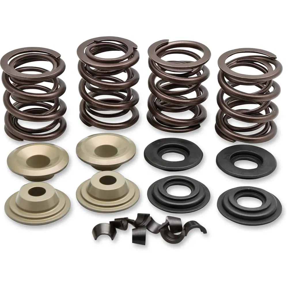 Valve Spring Kit8181701