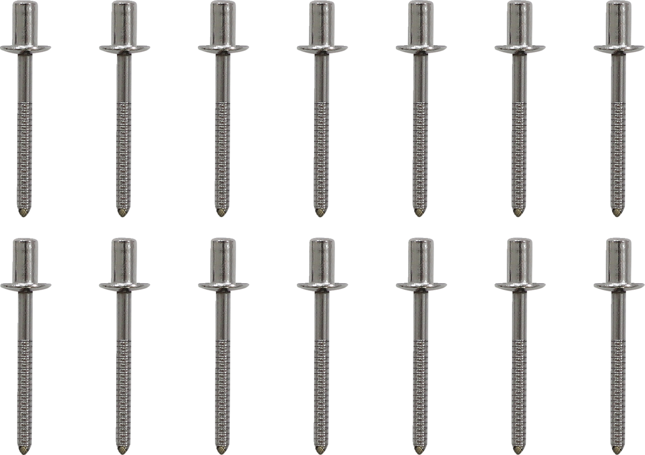 Escape Akrapovic - Muffler Packing Kit - Yamaha R6