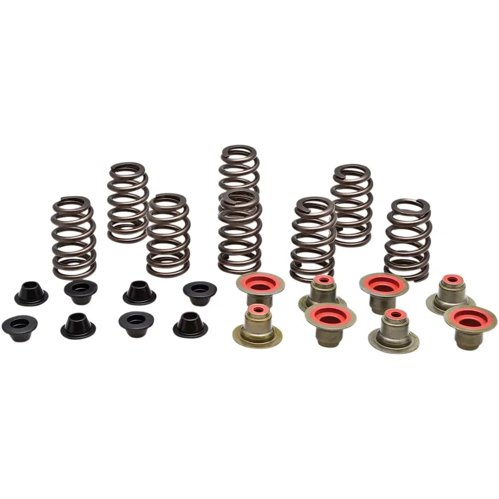 Valve Spring Kit