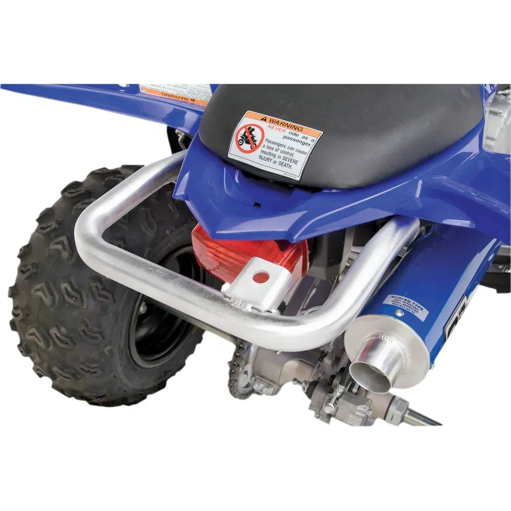 Fat Grab Bar - Raptor 250
