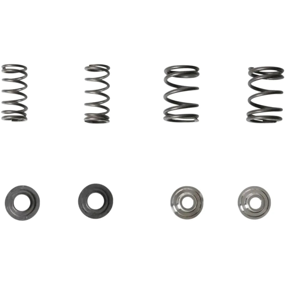 Valve Spring Kit