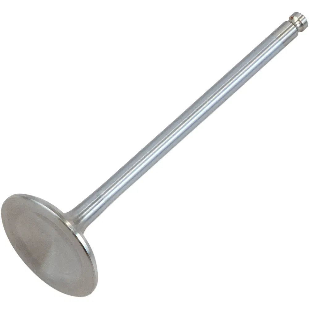 Intake Valve