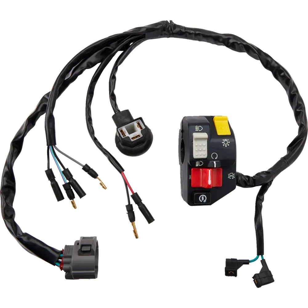 Conjunto de bloque de interruptores - Conjunto de bloque de interruptores - Honda