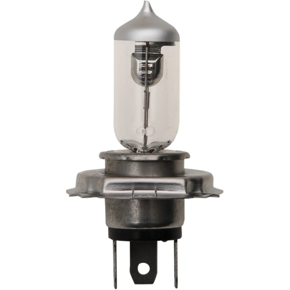 Bulb - H-4 Halogen - 10 Pack