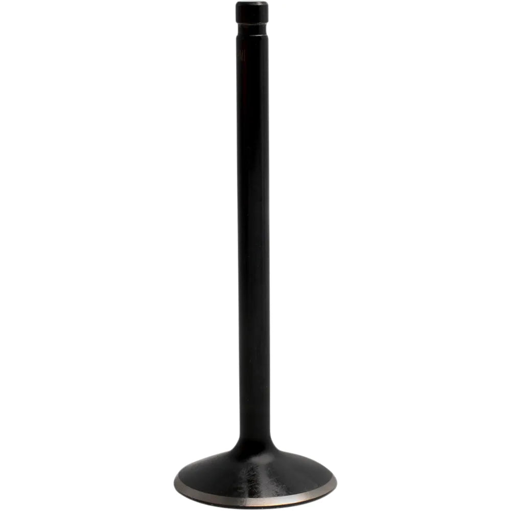 Exhaust Valve