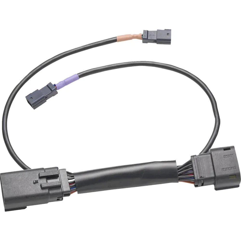 Arnés de cables