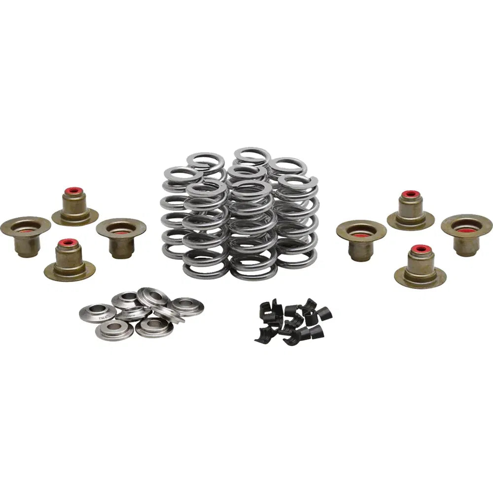Kit de resorte beehive valve™
