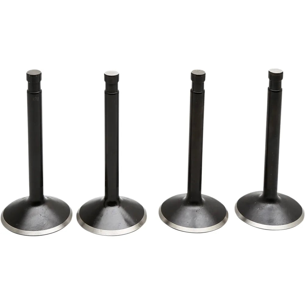 Valve Kit - Panhead