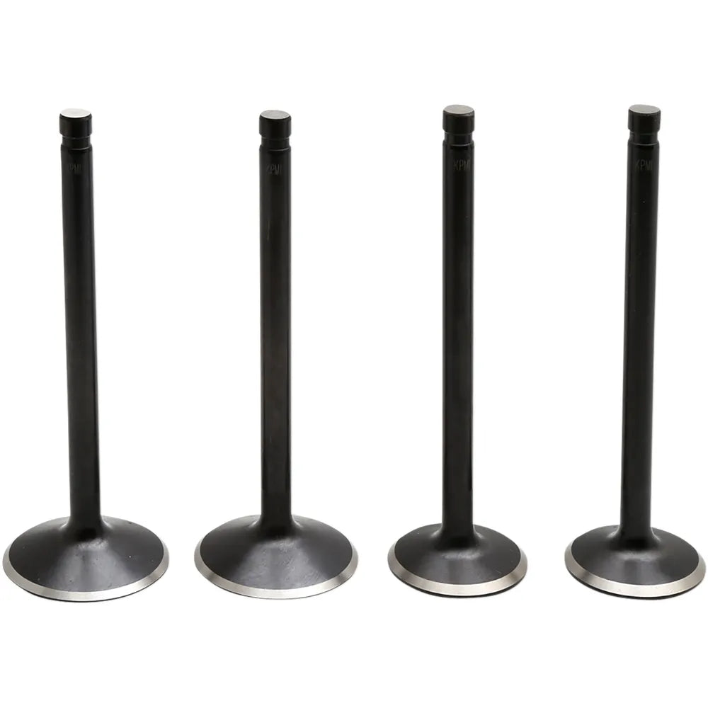 Valve Kit - Evolution/883