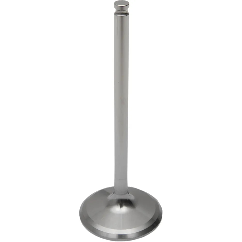 Intake Valve