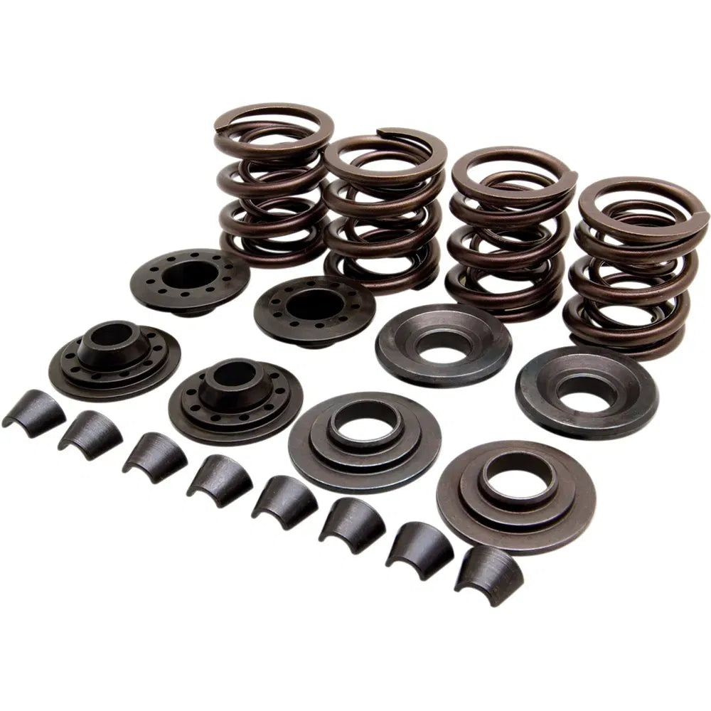 Valve Spring Kit - XL836703