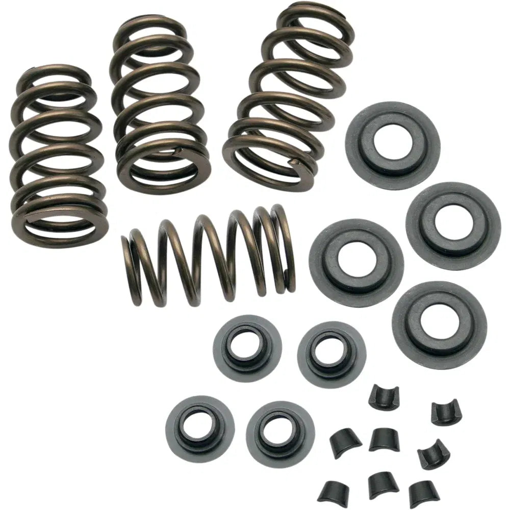 Kit de resorte de válvula sidewinder® de 0,650"