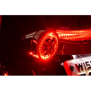 Signal Insert - Rear - Chrome - Smoke