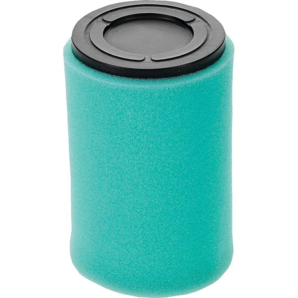 Filtro de aire de repuesto