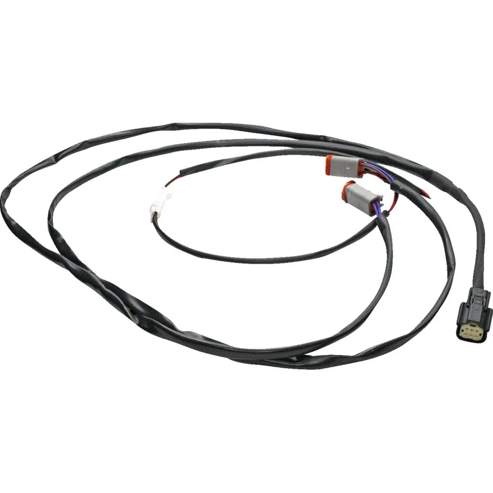 Arnés de cables