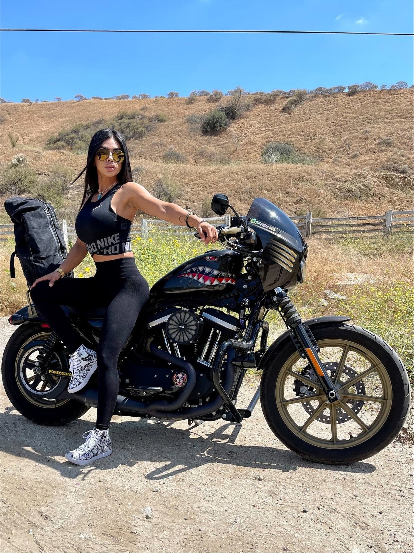 Alforja Viking Bags Renegade 35L