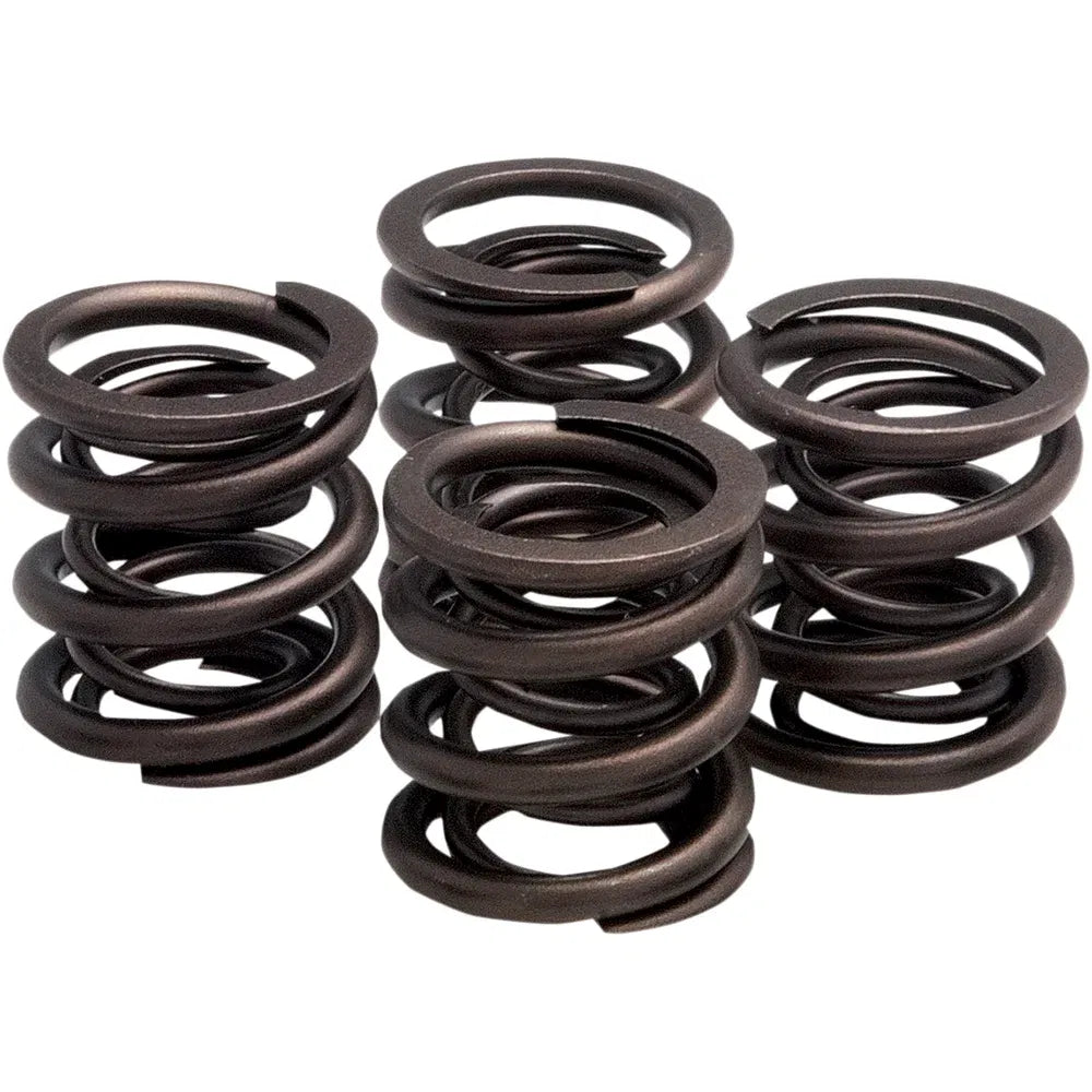 Kit de resorte de válvula