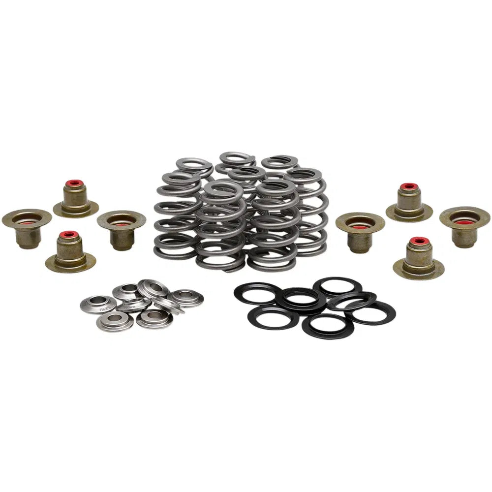 Kit de resorte beehive valve™