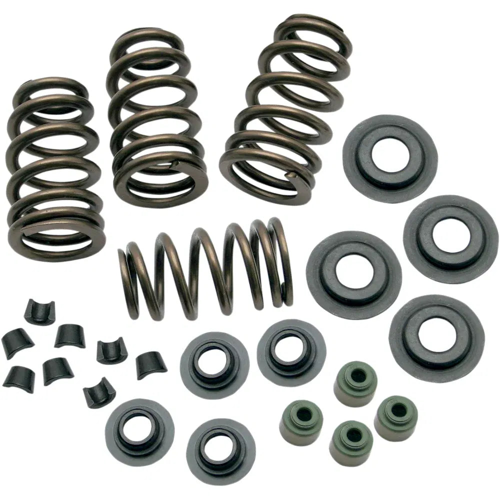 Kit de resorte de válvula sidewinder® de 0,650"