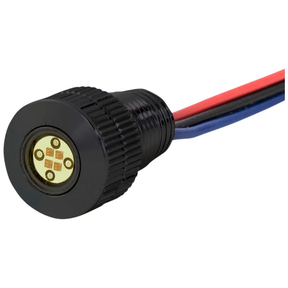 Lighning Boltz - Black/White