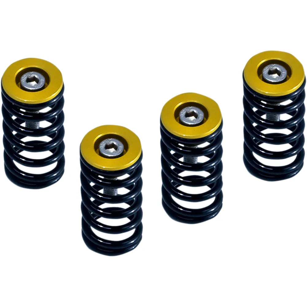 Clutch Springs