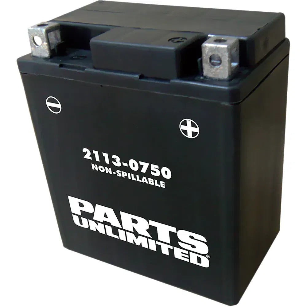 Batería AGM sin mantenimiento - Batería AGM - YTX7L