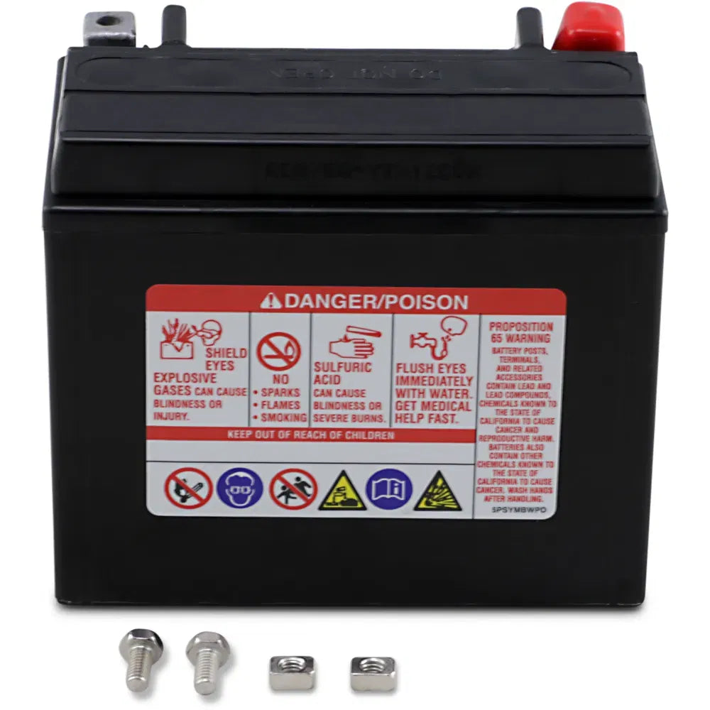 AGM Battery - YTX12