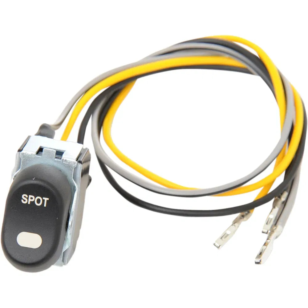 Spotight Rocker Switch - '96-'13 FLT