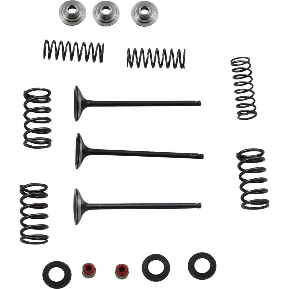 Kit de válvula y resorte de admisión - Kit de válvula y resorte - Yamaha WR250F | YZ250F