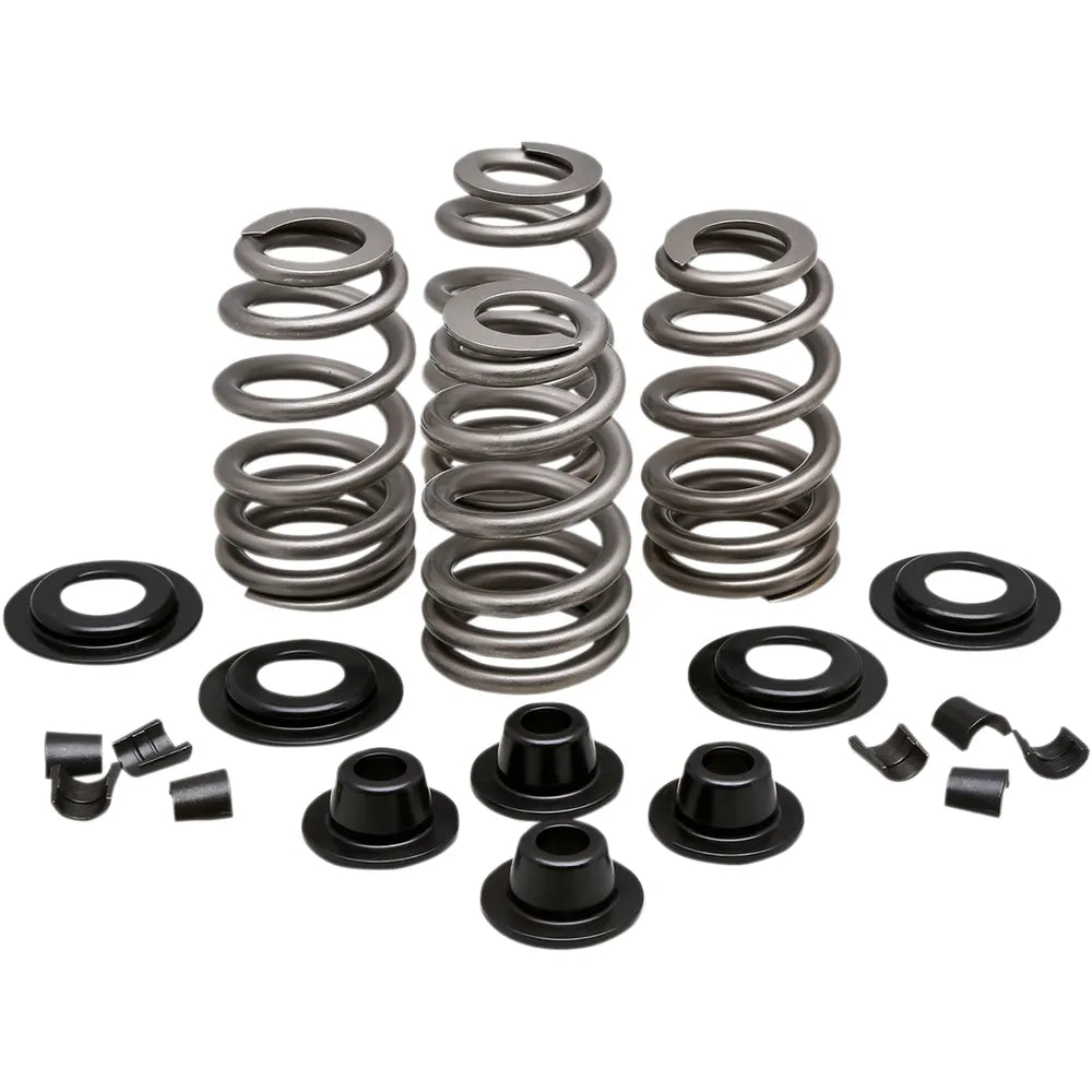 Spring Kit - .610" - Evolution/Twin Cam