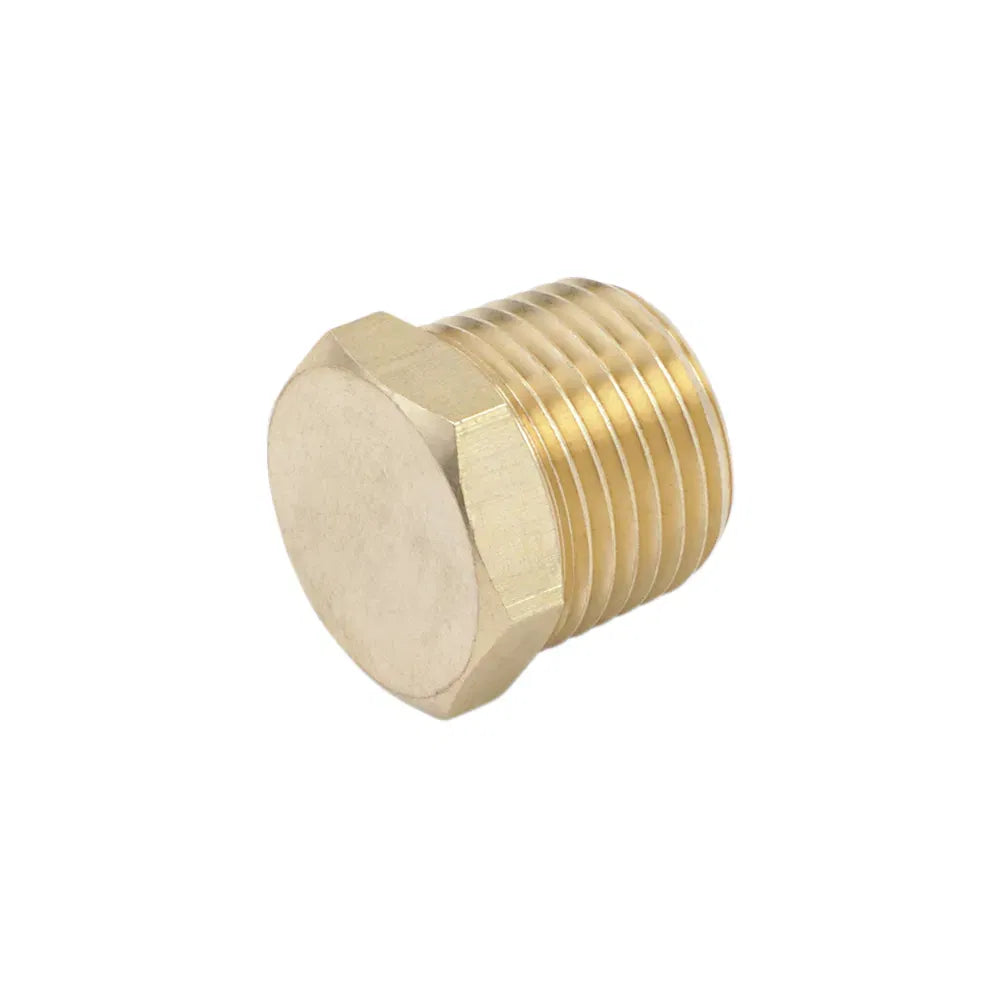 Plug Male Hex 1/2" Npt