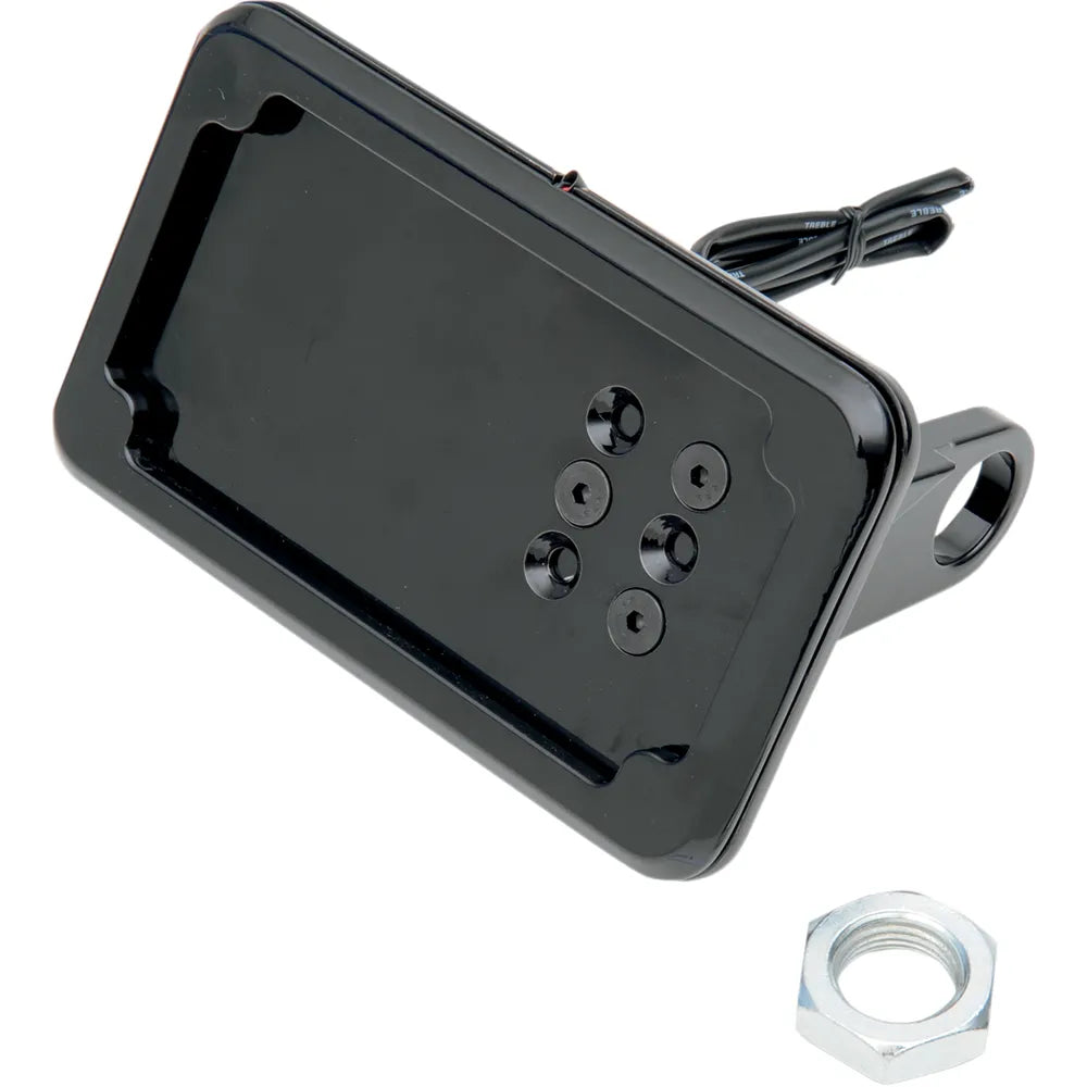 Horizontal License Plate Mount with Light - '08-'17 ST - Black