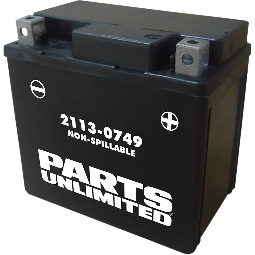Batería AGM sin mantenimiento - Batería AGM - YTX5L