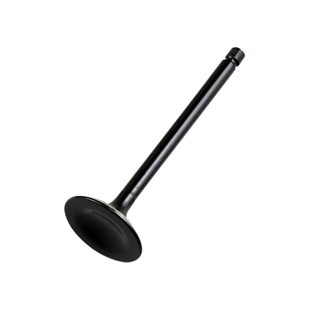 Exhaust Valve